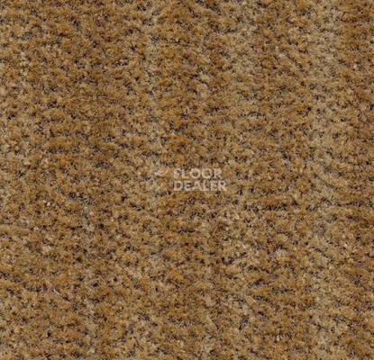 Грязезащитные покрытия Forbo Coral Brush 5754 straw brown фото 1 | FLOORDEALER